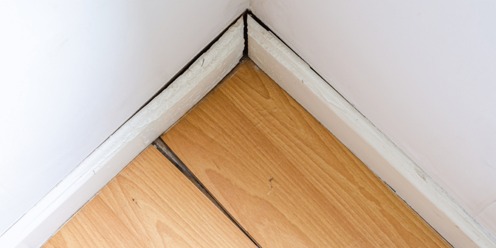 Why Florida's Climate Makes Flooring Choice So Important
